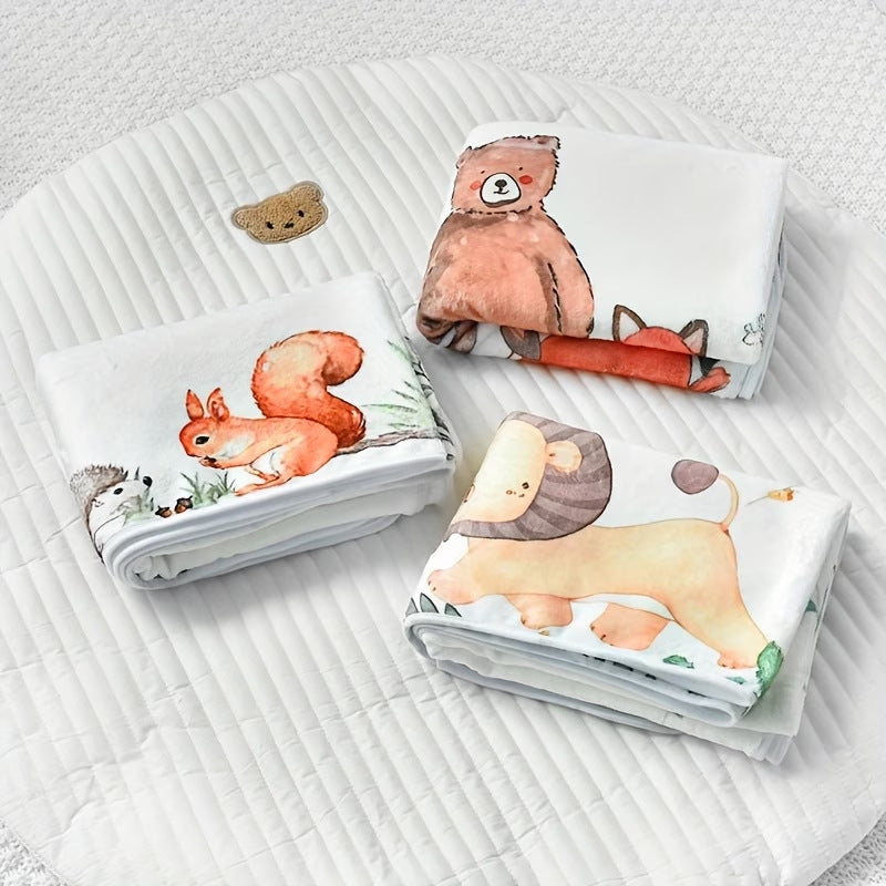 Baby Milestone Photo Blanket